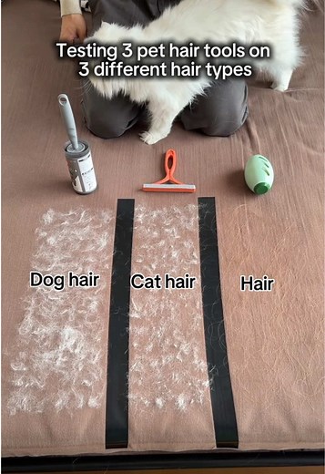 Testing Pet Hair Tools on Various Hair Types