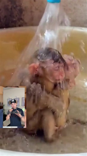 Cómo Hacer un Live en TikTok Sin 1000 Seguidores