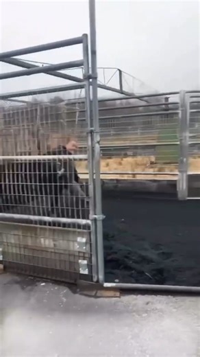 Emrah çevik on Instagram: "“Pumped Up Kicks” is a song by Foster the People, released in 2010. Despite its upbeat, catchy, indie-pop sound, the lyrics deal with a dark and serious topic. The song is written from the perspective of a troubled, mentally unstable teenager who fantasizes about violence—specifically, using a gun against other kids (“all the other kids with the pumped up kicks”). Mark Foster, the lead singer and writer, explained that he wanted to raise awareness about youth mental he