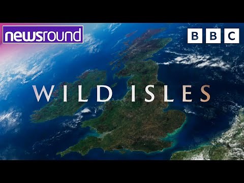 David Attenborough's New BBC Series Wild Isles Preview 🍃 | Newsround