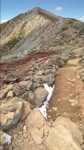 Franconia Ridge Hiking Past Little Haystack | Epic Views & Alpine Vegetation Toward Mt Lincoln