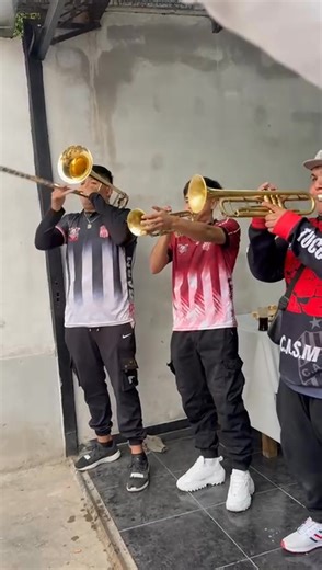 43K views · 1.3K reactions |  "La fuerza de la trompeta, la entrega de los chicos y la energía que desbordamos en cada show. Así hacemos vibrar tu fiesta  Contrataciones al [3815788393]." | Murga La Famosa Banda Del Camion | Facebook