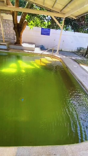 Jerry Department shop on TikTok