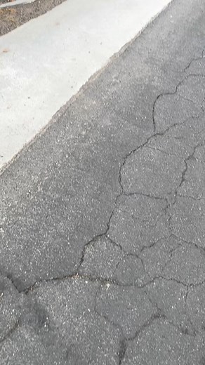 9.1K views · 4.6K reactions | short bus . . . #explorepage✨ #explorepage #viral #singlecab #f150 #jovaniegonzalez_ #coyote #trending #liftedtrucks #coyote5oh | Jovanie Gonzalez | Facebook