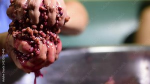 Bignay, Antidesma bunius home wine processing hand crushing, mashing and squeezing of fruit