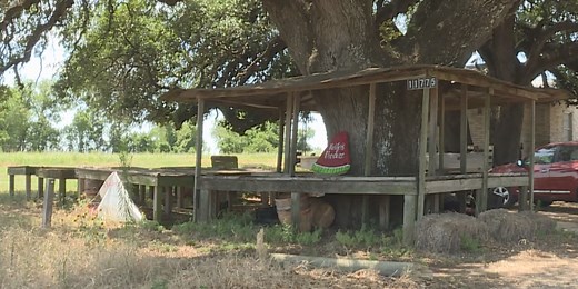 Famous Central Texas watermelon stand ‘fruitless’ for first summer ever