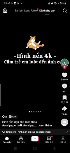 Hình Nền Điện Thoại 4K Siêu Đẹp và Đáng Yêu
