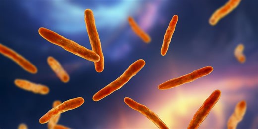 What Doctors Want You to Know About the TB Vaccine