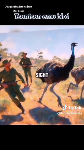 Emu Bird Facts and Habitat Insights