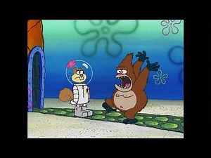 Spongebob- Real Gorilla