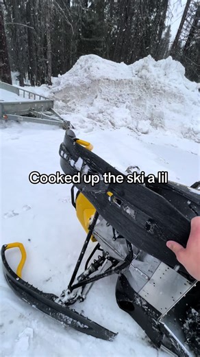 Exciting Skiing Adventure in the Snow