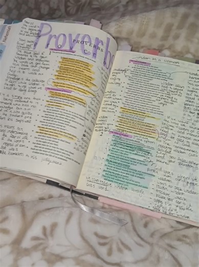 Exploring the Impact of Proverbs Through Bryce Crawford