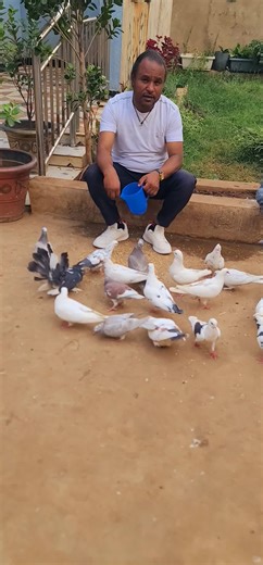 #ethiopian_tik_tok🇪🇹🇪🇹🇪🇹🇪🇹 ቢቸና