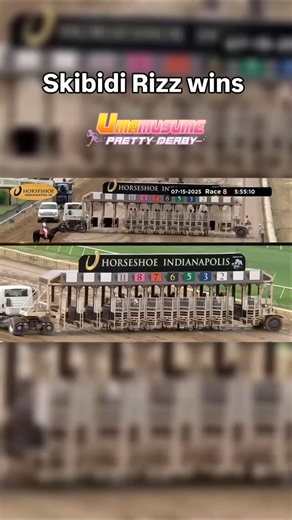 alternative_five on Instagram: "SKIBIDI RIZZ FIRST VICTORY BUT WITH UMA MUSUME OST la victoria de Skibidi rizz pero le puse el OST De las caballas XD (y algunos efectos) #skibidirizz #umamusume #uma #umapyoi #goldship #horseracing #horses #horseshoe #indianapolis #japan #caballos #humor #memes #cygames"