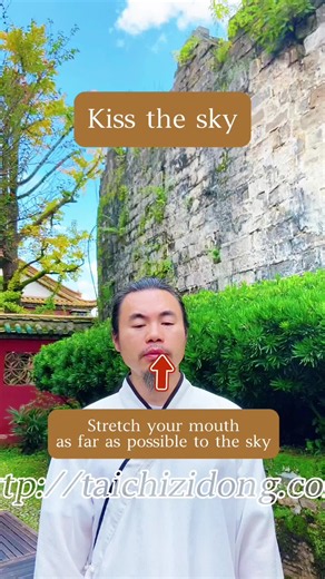Find Your Perfect Tai Chi Course: Free Videos & Full Courses