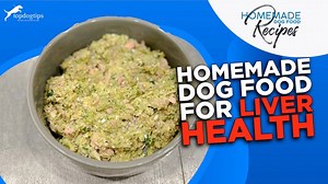 Recipe: Homemade Dog Food for Liver Health – Top Dog Tips