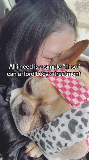 Help Lucy Get Treatment with a Simple Hi!