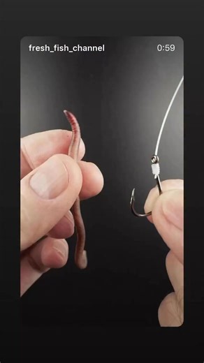 Baiting a hook with a worm @fresh_fish_channel#fishinglife #fishing #fishinwater #trout #troutfishing #fishingtips #fishingaddict #bait #baitfishing #worm | Big Bear Sporting Goods