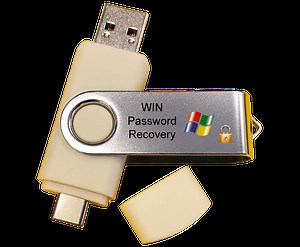 Windows Password Reset USB Flash Drive – Recover, Unlock or Restore Access to Locked Computers – Bootable Live System Recovery Tool for PC