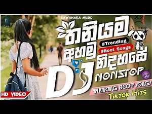 Weirdest Sinhala Boot Remixes - New Sinhala Boot Songs | New DJ boot songs 2025 | Dj Songs