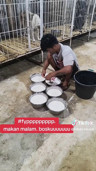 Persiapan Makan Ternak di Labas: Pengalaman Terbaik