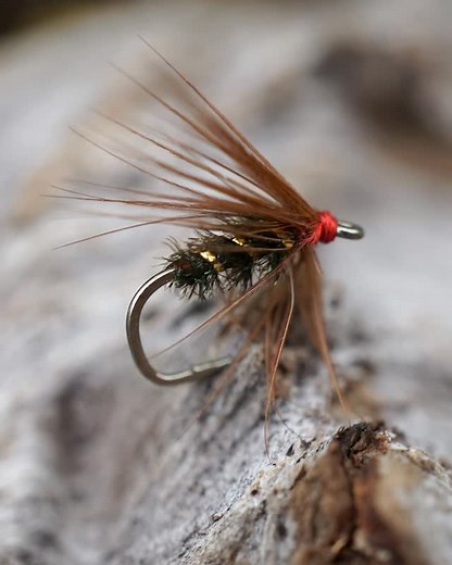 Soft hackle tied by @lcbentsen - thanks for sharing! Tied on Ahrex Legacy LE810. • • • • #dryfly #ahrex #ahrexhooks #fishitwell #keepfishwet | Fly Tying Europe