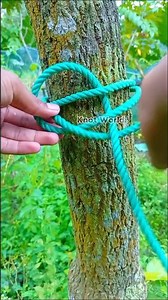 How to Tie a Secure Tree Knot: Easy Step-by-Step Guide