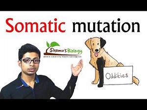 Somatic Mutation - Molecular Basis of Inheritance, Class 12, Biology Video Lecture - NEET