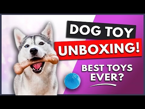 DOG TOY UNBOXING AND REVIEW | Husky Gets New Toys!