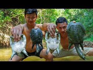 Wow! Finding Turtle & Cooking Tasty Turtle with Chinese Cabbage Recipes