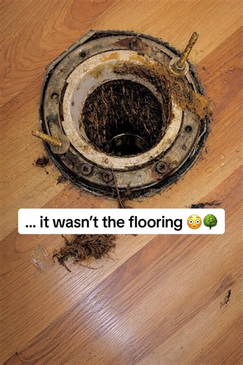 Dealing with Tree Root Issues After LVP Installation