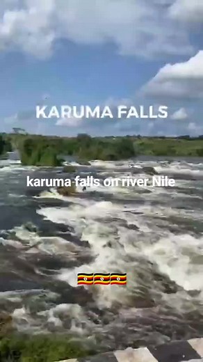 Alien blood on TikTok