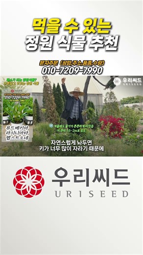 먹을 수 있는 정원 식물 추천 #정원 #식물 #가드닝 #묘목 #귀농 #식집사 #루드베키아