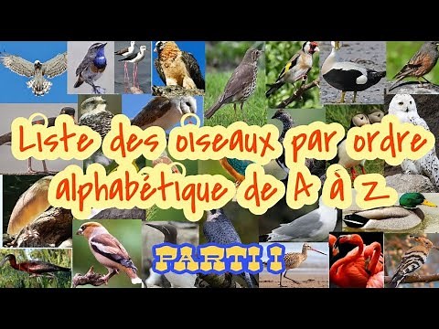Liste des oiseaux du monde par ordre alphabétique de A à Z Avec caractéristiques physiques