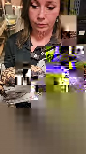 7.9K views · 162 reactions | Meet our Gila Monster!  Veteran of the Death by Natural Causes exhibit, this guy is both poisonous and fiesty. Come say hi on your next visit. #gilamonster #animalworld #reptilesoffacebook #zoology #animallover #hmns #poisonous | Houston Museum of Natural Science | Facebook