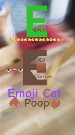 Emoji Cat Poop [GameCube intro]