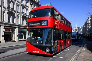 Which London bus routes are ‘infested’ with cockroaches?