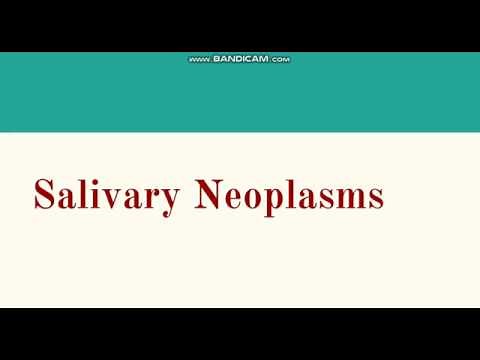 Salivary Tumors: Pleomorphic Adenoma, Warthin Tumor and Mucoepidermoid Carcinoma