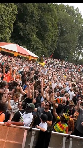 21K views · 542 reactions |  Protoje x Jesse Royal – “Lion Order” live from Reggae Lake Festival, Amsterdam  Pure energy, pure vibes – captured by Reggae live concerts ✨ | Reggae-agenda | Facebook