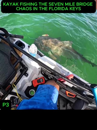 Fishing Adventures in Alaska: Salmon and Halibut