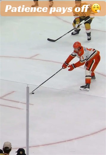 #nhl #stanleycupplayoffs #anaheimducks | stanley cup nhl