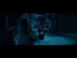 Alien: Earth - Cat host scene (T. Ocellus) 4K DV HDR