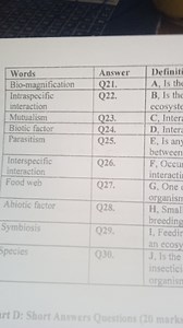 Match the words with their definitions:| Words               ... | Filo