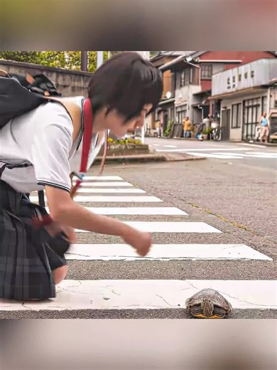 Movie # Short Film # Commentary # Highlights # USA | NASA Moon Mission