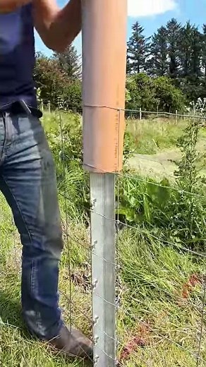 Clipex Fencing Limited