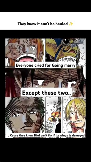 #anime #onepiece #memes