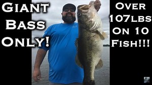 10K views · 173 reactions | We love bass fishing around here and no...