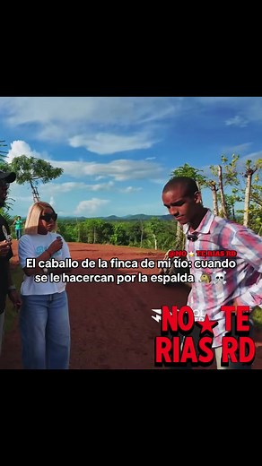 Cuidado con el caballo: Risas y memes en TikTok