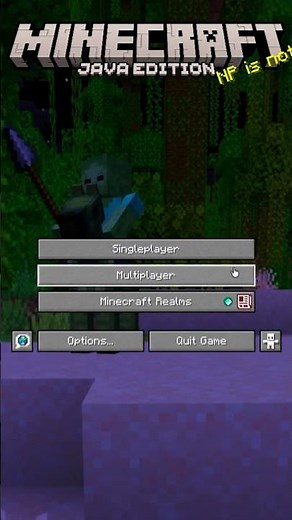 Join the Greatest Lifesteal SMP (IP: straindez.net) (Java + Bedrock + Cracked)