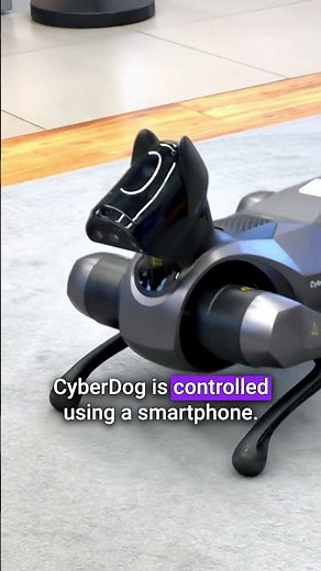 🐶 Xiaomi CyberDog 2 - the robotic dog hands-on 🐶